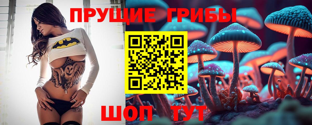 Галлюциногенные грибы GOLDEN TEACHER  Вход с VPN  Ртищево 
